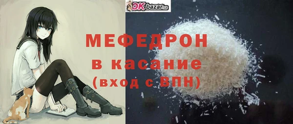 индика Ельня