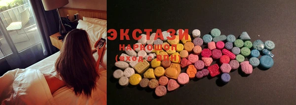 индика Ельня