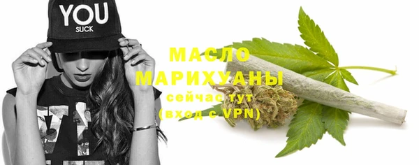 индика Ельня