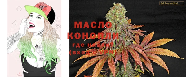 индика Ельня