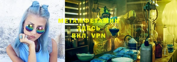 индика Ельня